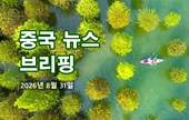 [중국 뉴스 브리핑] 2026년 8월 31일